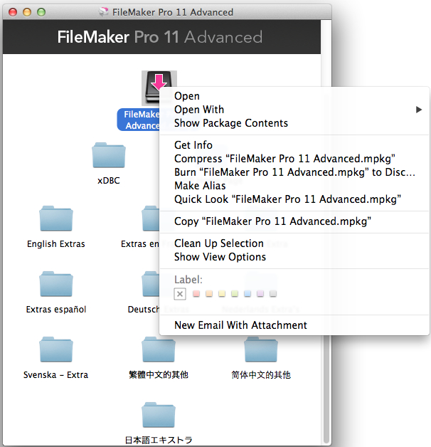 filemaker pro 11 mac torrent
